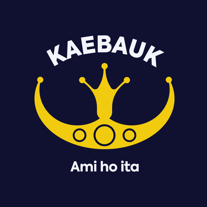 Kaebauk Investimentu no Finansas SA logo